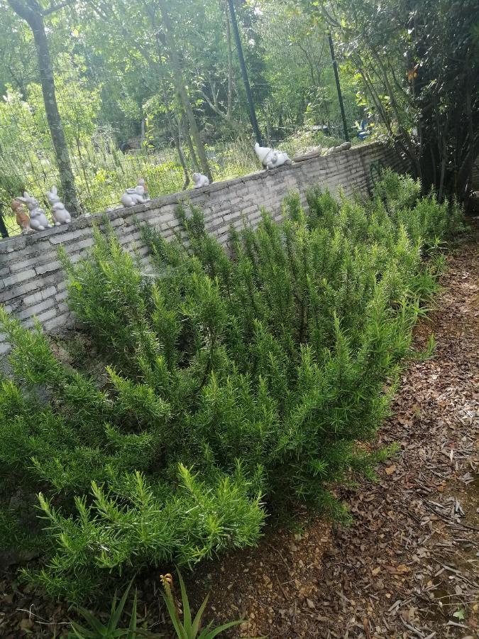 Apartments With A Parking Space Dramalj, Crikvenica - 5592 المظهر الخارجي الصورة
